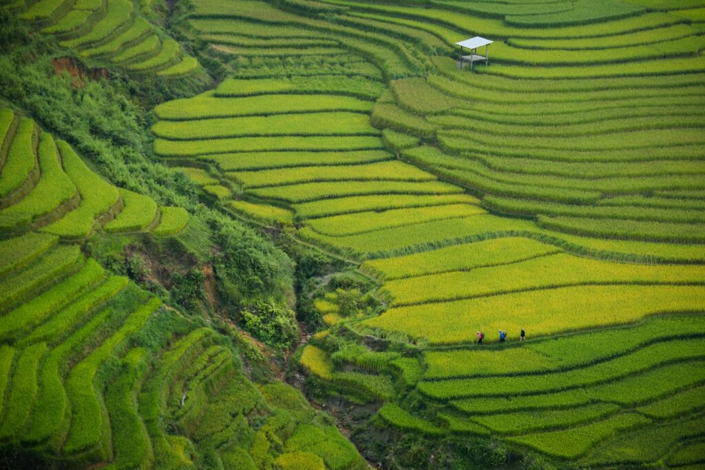 La-mejor-epoca-para-viajar-al-norte-de Vietnam