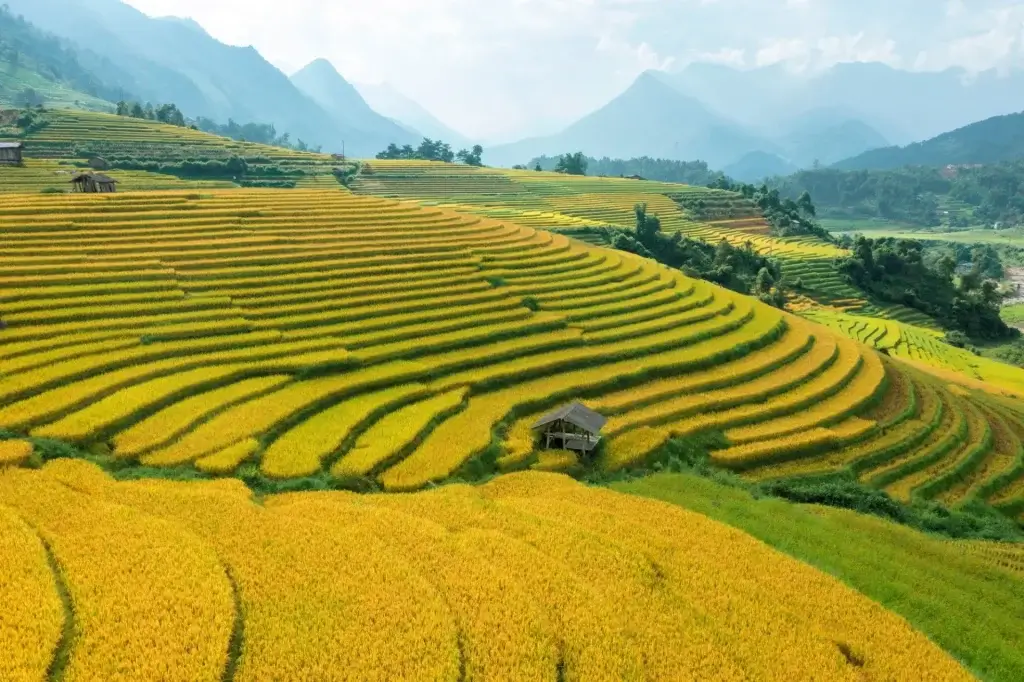 mejor época para viajar a Vietnam