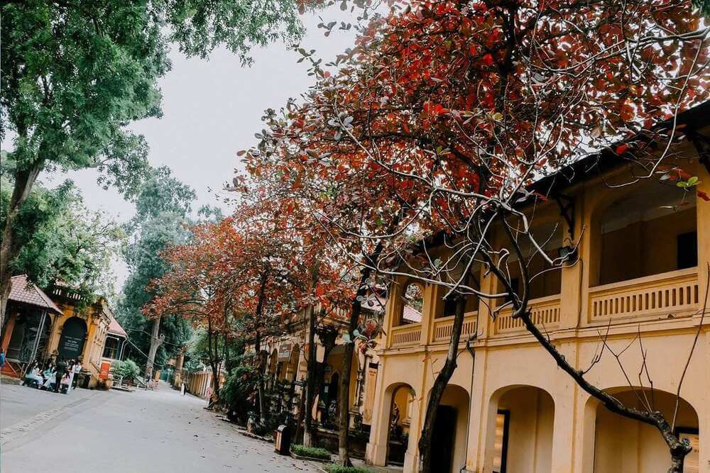 Museo Nacional de Historia de Vietnam