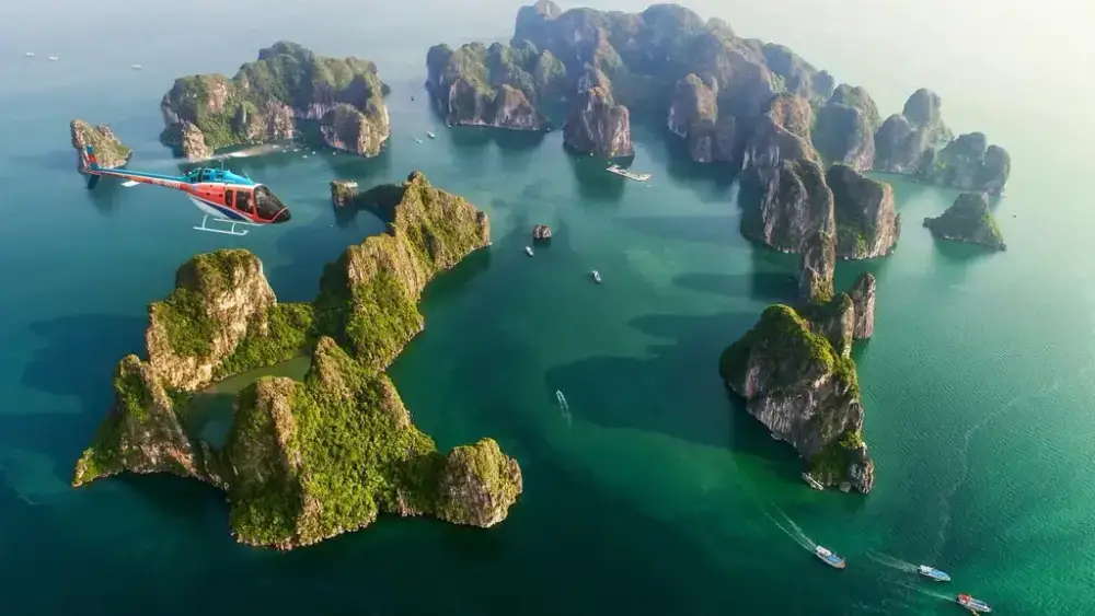Isla de Ti Top