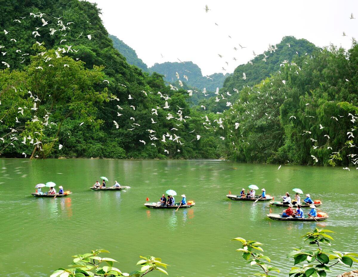 Jardín de aves Thung Nham