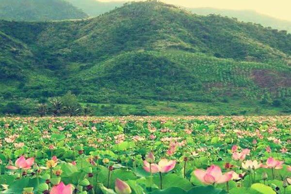 Lago Quan Son