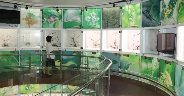 Museo Quang Ninh