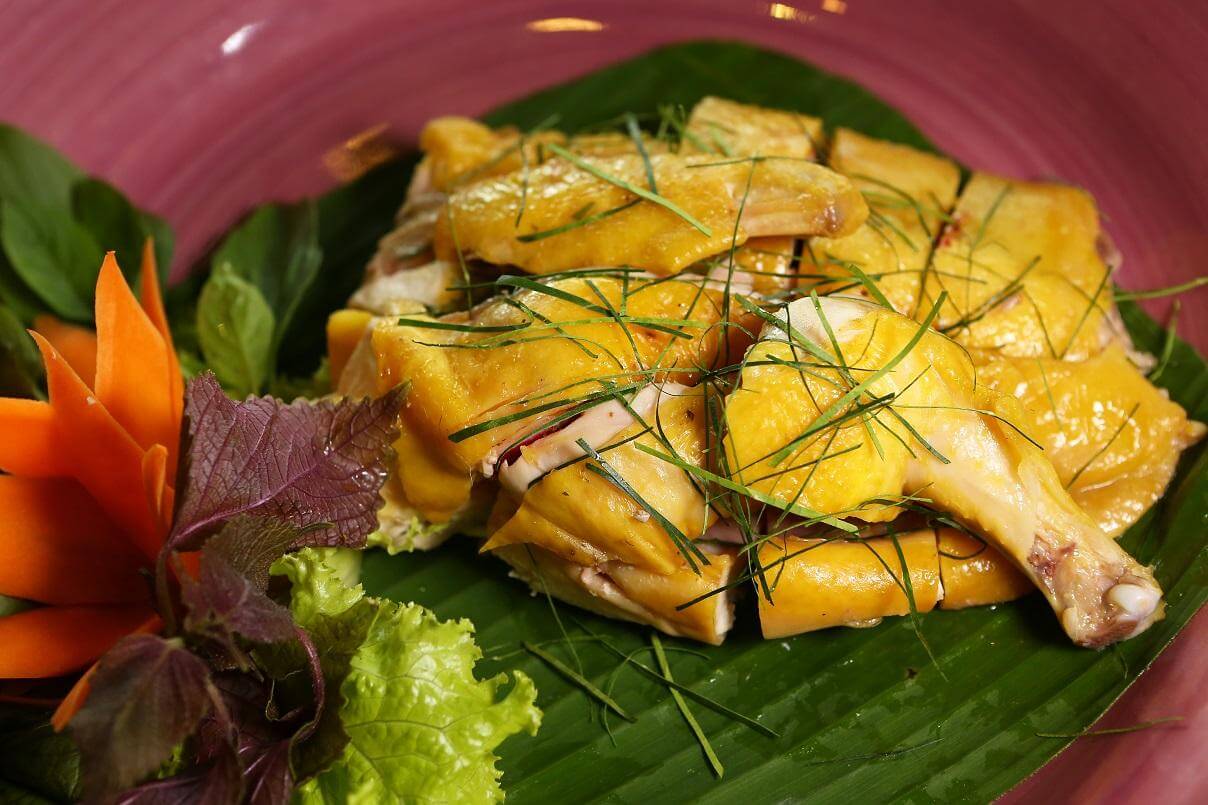 Pollo Tien Yen