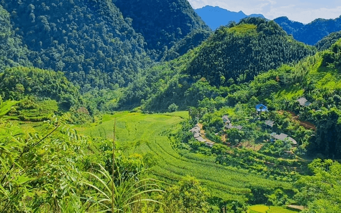 Reserva Natural de Pu Luong