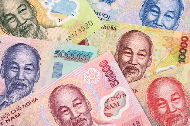moneda de Vietnam