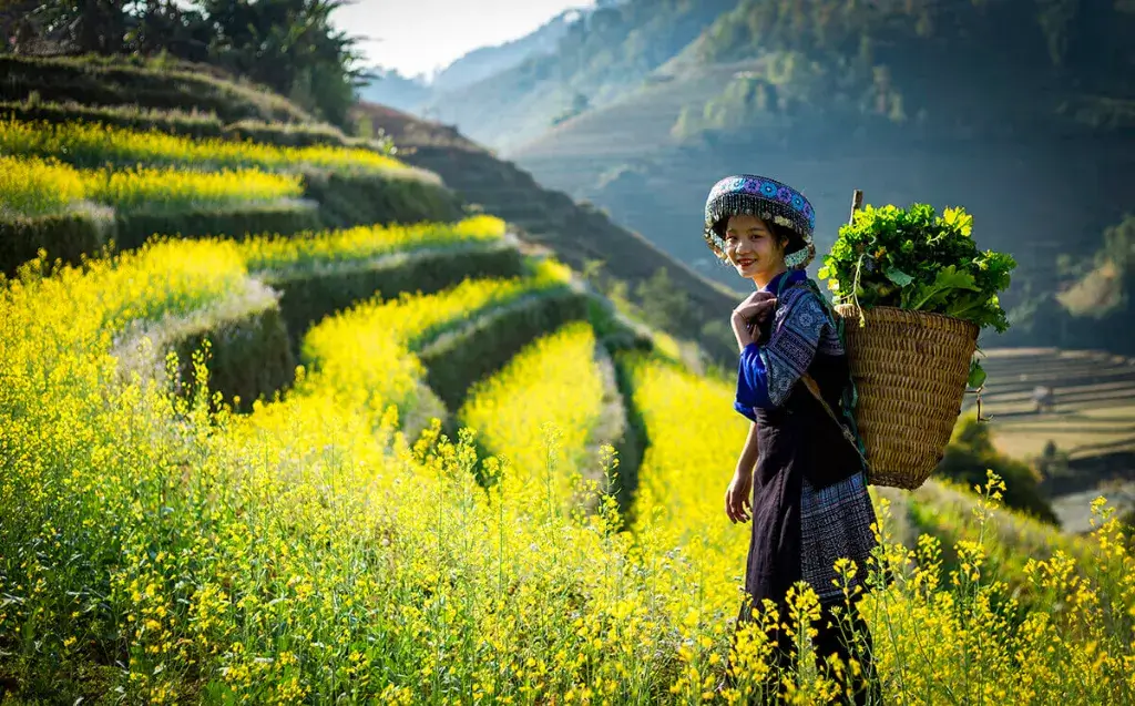 Montañas del Norte de Vietnam
