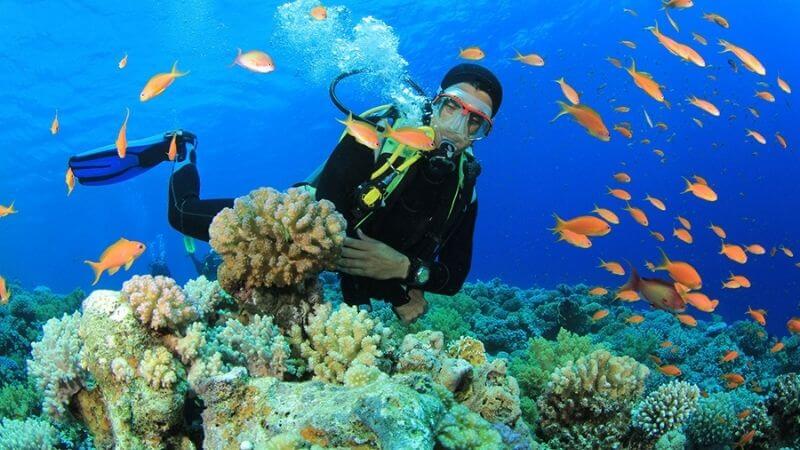 buceo vietnam
