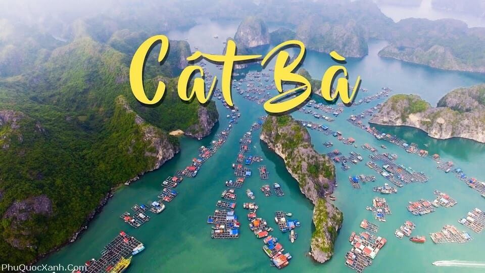 cat ba