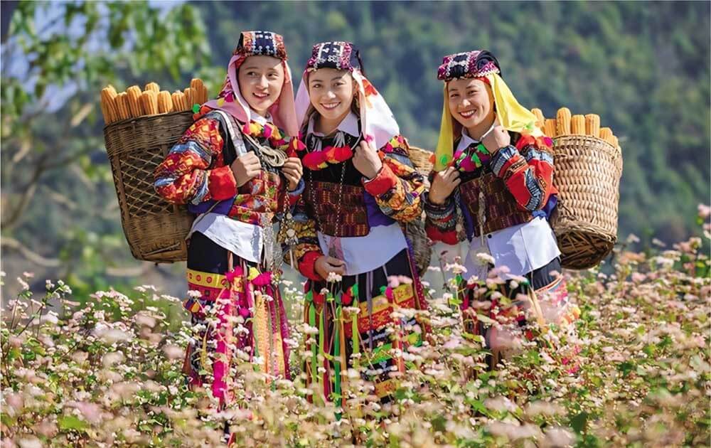 ha giang